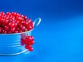 A metal basin filled with red currants on pink background on blue background Royalty Free Stock Photo