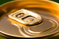 Metal beer can, unopened Royalty Free Stock Photo