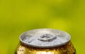 Metal beer can, unopened Royalty Free Stock Photo