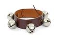 Metal bells on leather collar