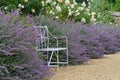 A metal bench in a flower bed Royalty Free Stock Photo