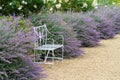 A metal bench in a flower bed Royalty Free Stock Photo