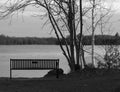 Bench on Lake Shore