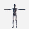 Metal body in chrom isolated Royalty Free Stock Photo