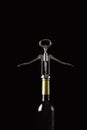 Metal bottle opener on a glass wine bottle on a black background Royalty Free Stock Photo