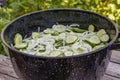 Metal bowl with sliced pickles Royalty Free Stock Photo