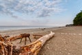 Metal brazier, the trunk of a fallen tree and a bench are stand on the deserted shore of a calm sea on a summer evening Royalty Free Stock Photo