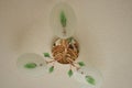 Metal brown chandelier with three white green glass shades