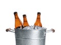 Metal bucket with bottles of beer and ice cubes isolated Royalty Free Stock Photo