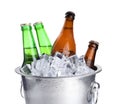 Metal bucket with bottles of beer and ice cubes isolated Royalty Free Stock Photo