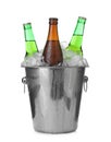 Metal bucket with bottles of beer and ice cubes isolated on white Royalty Free Stock Photo