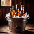 Metal bucket with cold bottles of beer and ice
