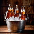 Metal bucket with cold bottles of beer and ice