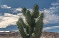 metal cactus as an advertisement for a garden with live cacti in lanzarote