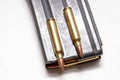 A metal 223 caliber rifle magazine loaded with 223 caliber bullets with two bullets on top of it Royalty Free Stock Photo