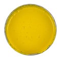 Metal can with yellow paint isolated on white background close-up Royalty Free Stock Photo