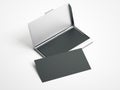 Metal case with white blank business cards . 3d rendering Royalty Free Stock Photo