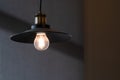 metal ceiling lamp lighting blubs concept interior