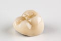 Metal ceramic dental crown photographed close-up Royalty Free Stock Photo