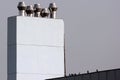 Metal chimneys and pigeons on a roof top Royalty Free Stock Photo