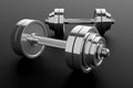 Metal Chrome Gym Equipment Dumbbell Pair on Black Background - 3D Illustration