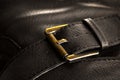 Metal Clasp on Leather Case Royalty Free Stock Photo