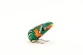Metal clockwork toy frog Royalty Free Stock Photo