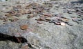 Metal coins on old stone symbolizm