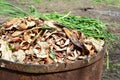 Metal compost bin with food scraps. Composting bin with compost concept Royalty Free Stock Photo