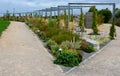 From metal constructions to climbing plants and vines is a sitting terrace of rough stone paving chipped cubes. metal gray furnitu Royalty Free Stock Photo