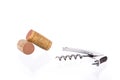 Metal corkscrew Royalty Free Stock Photo