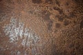 Metal corroded rusty brown grunge texture background Royalty Free Stock Photo