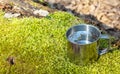 Metal cup of water on a log in the forest Royalty Free Stock Photo