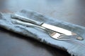 Metal cutlery Royalty Free Stock Photo