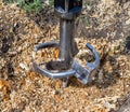 A metal cutter drills a stump of an old tree