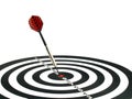 dart arrow hitting bullseye target isolated on white, aiming to achieve, perfection goal success Royalty Free Stock Photo