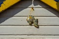 Metal decoration on the facade of a fish-shaped building, nice d