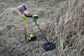 Metal detector in the field ready to work