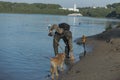 Treasure hunter is looking for a metal detector in the river Royalty Free Stock Photo