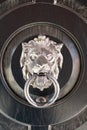 Metal door handle in shape of lion`s head Royalty Free Stock Photo