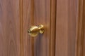 Metal door handle in a wooden door, closeup. Door handle in the interior. Royalty Free Stock Photo