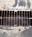 Drain grate. Storm drain. Storm sewer