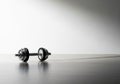 The metal dumbbell features adjustable weights on either side of a straight Royalty Free Stock Photo
