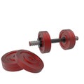 Metal Dumbbell Royalty Free Stock Photo