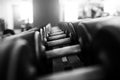 Metal dumbbells lying on gym fitness club