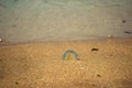 A metal euro coin in the sand as a background. Shallow depth of field. In the background, a washed-out sea with glare from the sun Royalty Free Stock Photo