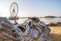 Metal face sculpture in the sand by the ocean Royalty Free Stock Photo