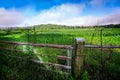 Metal farm gate provides an entrance to a young, succulent corn field in North Carolina Royalty Free Stock Photo