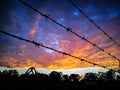 A Metal fence with barbed wire and Dramatic Sunrise sky with clouds above forest in rural town of Australia. Royalty Free Stock Photo