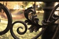 Metal fence with beautiful forged curls and shapes close-up. Behind the fence is a park, a lamppost, a bridge